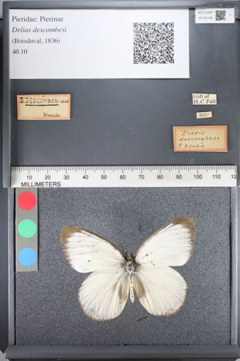 Media type: image;   Entomology 130192